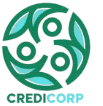 CREDICORP — Nigerian Consumer Credit Corporation